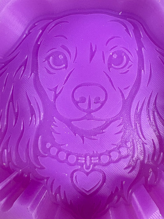 Longhair Doxie with Pearls B Grade