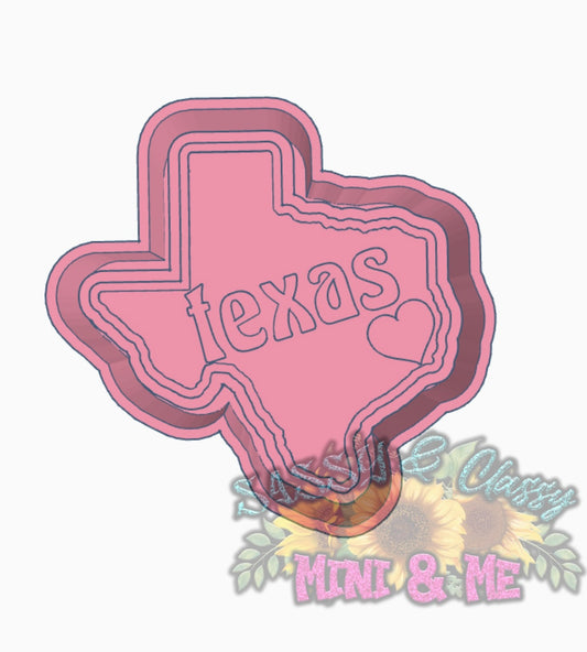 Texas Freshie Mold HOUSING