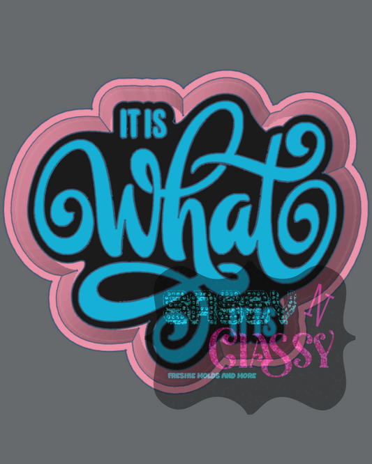 It Is What It Is STL ***digital file, not a mold***