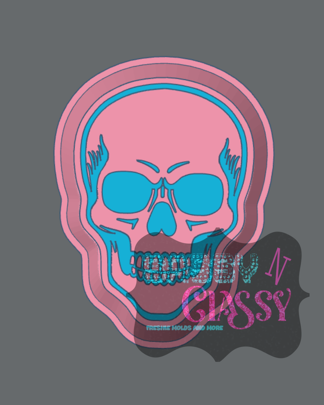 Skull Housing *not a mold*