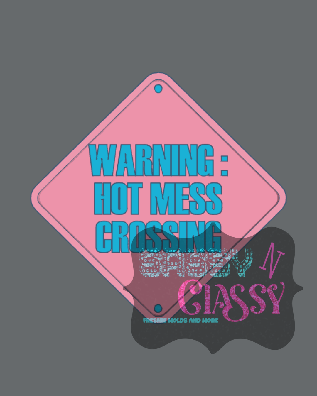 Street Sign Insert Set