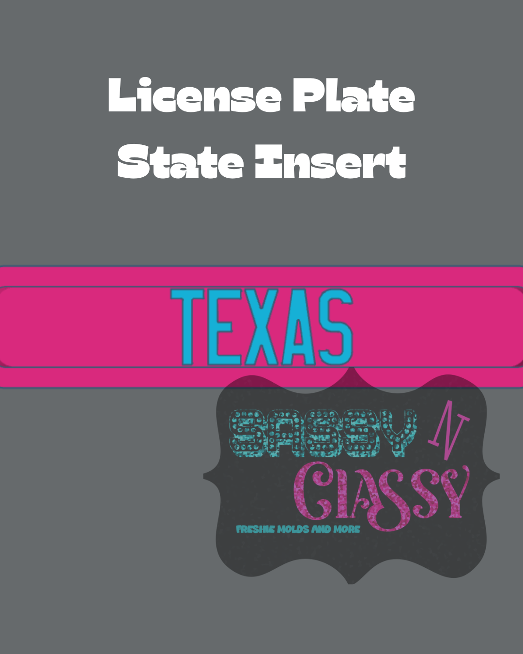License Plate Insert Set